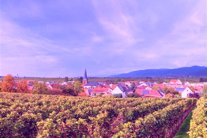 Kinsley, 25 — Escort in Roschbach, Germany