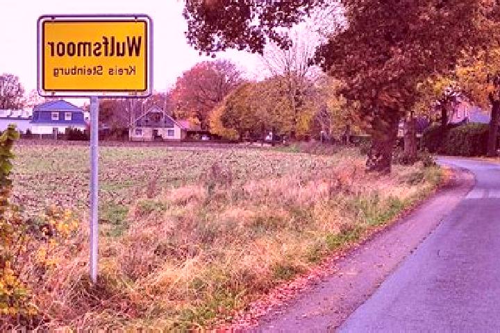Kinsley, 25 — Escort in Wulfsmoor, Germany