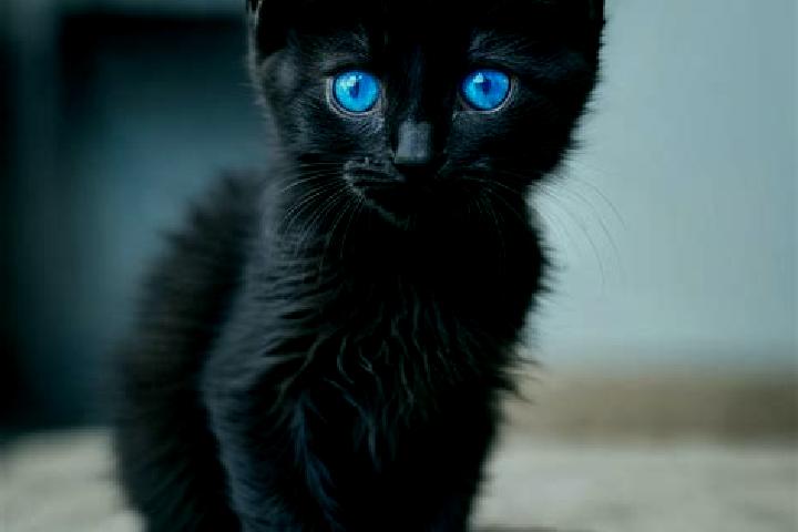 Kinsley, 26, a black blue-eyed mediterranean companion based in Buinen. Offering Striptease, Fetish, BDSM. Available for incall and outcall, overnight bookin...