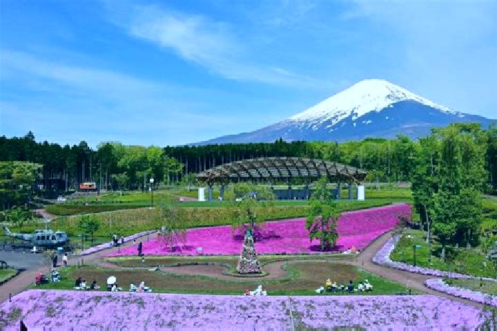 Kinsley, 26 — Escort in Gotemba, Japan