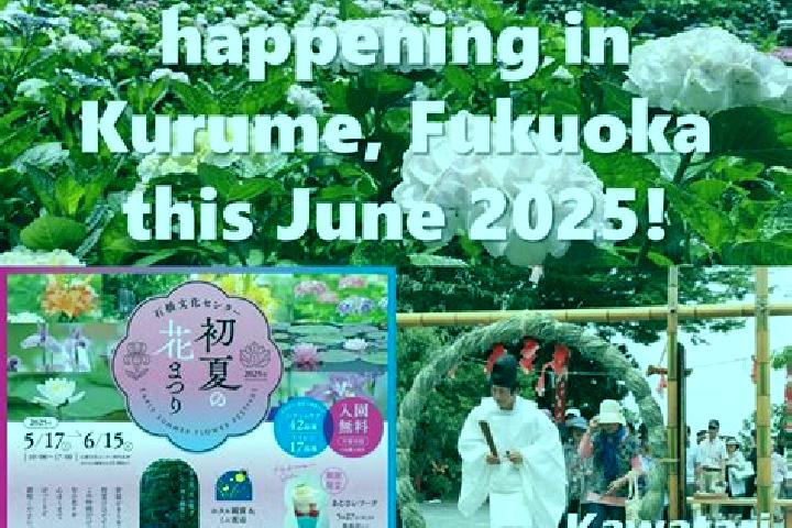 Kinsley, 26 — Escort in Kurume, Japan
