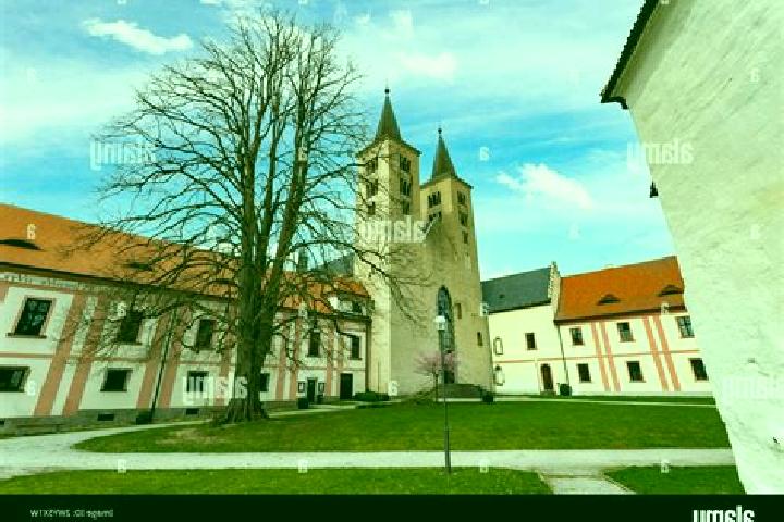 Kinsley, 26 — Escort in Milevsko, Czech Republic