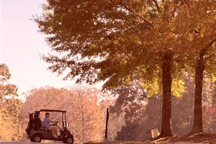 Kinsley, 26 — Escort in Moores Mill, United States