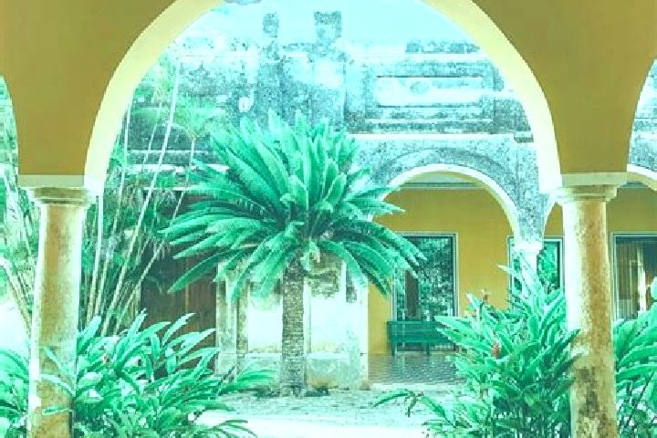 Kinsley, 26 — Escort in Yaxcopoil, Mexico