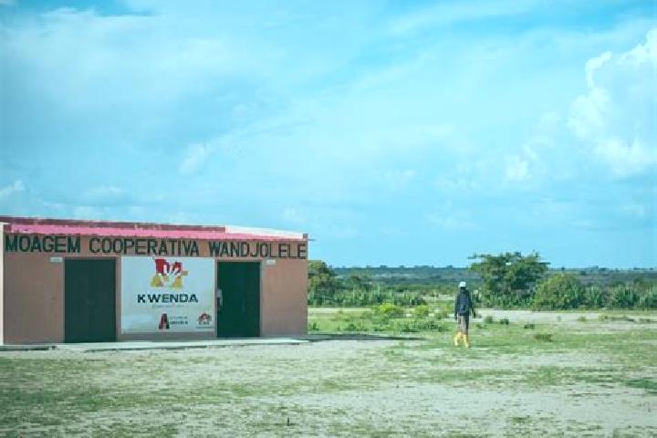 Kinsley, 27 — Escort in Capunda Cavilongo, Angola
