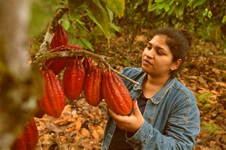 Kinsley, 27 — Escort in Francisco J. Santamaria (Cacao), Mexico