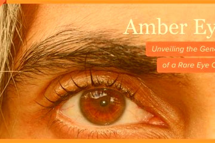 Kinsley, 28, a red amber-eyed slavic companion based in Dangu. Offering Tantra, GFE, Deep French Kissing, Couples, Girlfriend Experience. Available for incal...