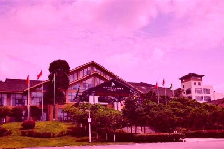 Kinsley, 28 — Escort in Anzhou, China