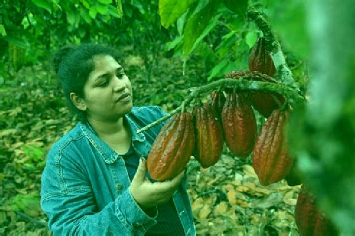 Kinsley, 28 — Escort in Cacao, Mexico