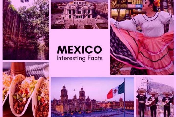 Kinsley, 28 — Escort in Chiltoyac, Mexico