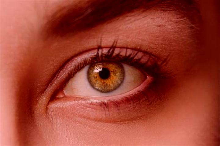 Kinsley, 29, a black hazel-eyed mixed companion based in Jali. Offering Couples, Duos, OWO, Erotic Massage. Available for incall and outcall, overnight booki...
