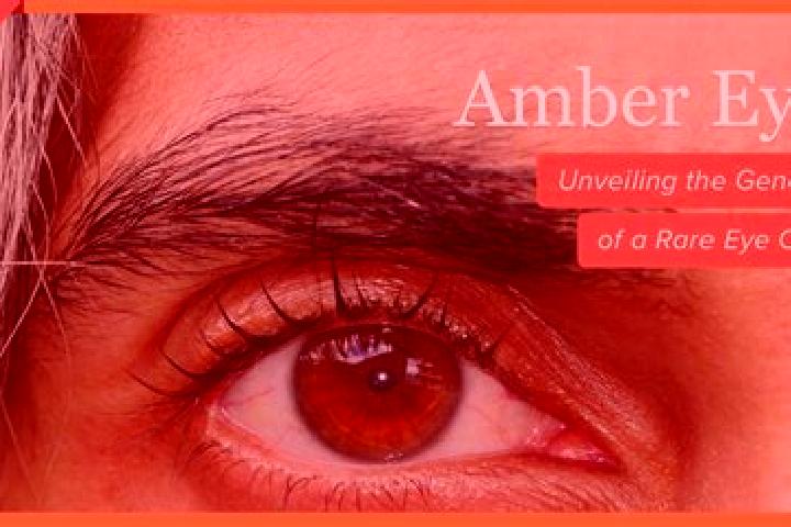 Kinsley, 29, a red amber-eyed mediterranean companion based in Bafra. Offering Fetish, Erotic Massage, A-Level. Available for incall and outcall, overnight b...