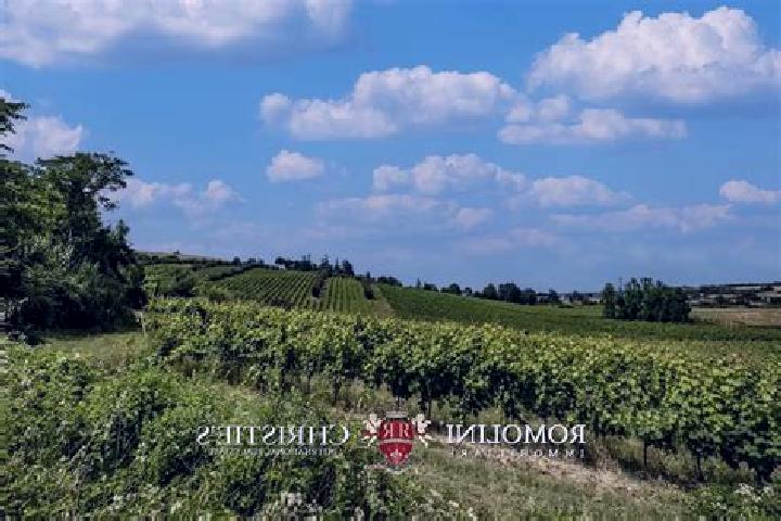 Kinsley, 29 — Escort in Camporeale, Italy