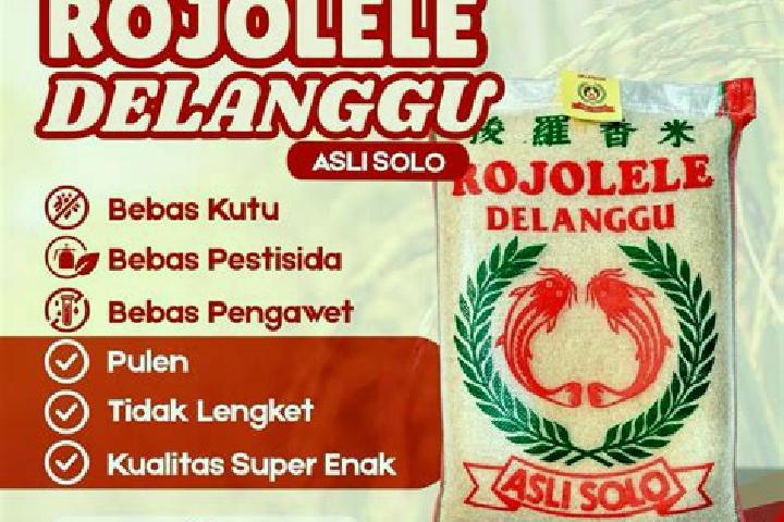 Kinsley, 29 — Escort in Delanggu, Indonesia