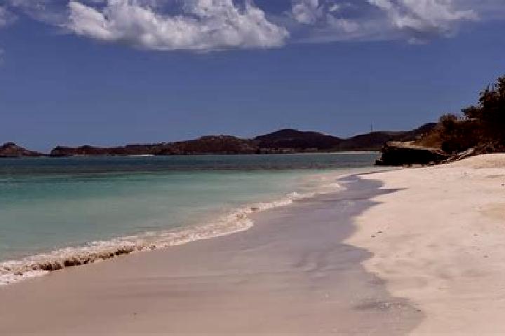 Kinsley, 29 — Escort in Freemans, Antigua and Barbuda