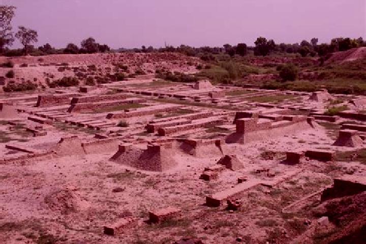 Kinsley, 29 — Escort in Harappa, Pakistan