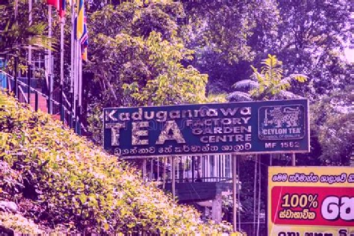 Kinsley, 29 — Escort in Kadugannawa, Sri Lanka