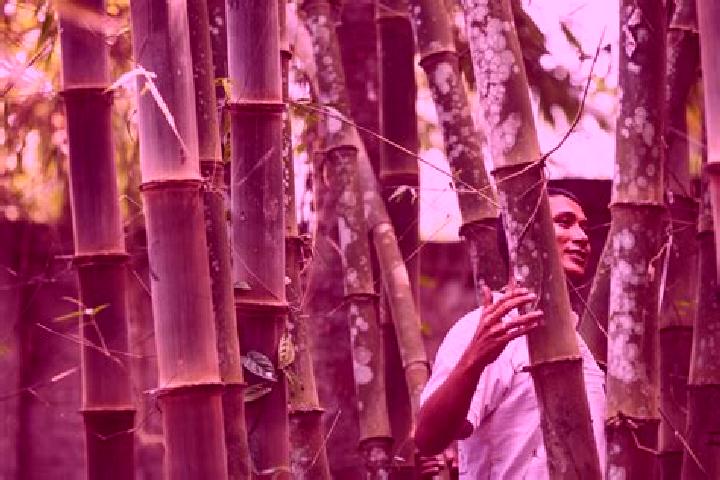Kinsley, 31 — Escort in Bamboo Flat, India