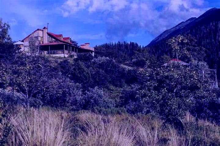 Kinsley, 31 — Escort in Cerro del Carbon, Mexico