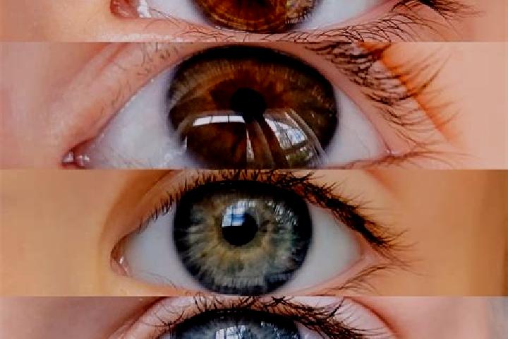 Kinsley, 32, a chestnut grey-eyed mixed companion based in Rabocheostrovsk. Offering Travel Companion, 69, Domination. Available for incall and outcall, over...