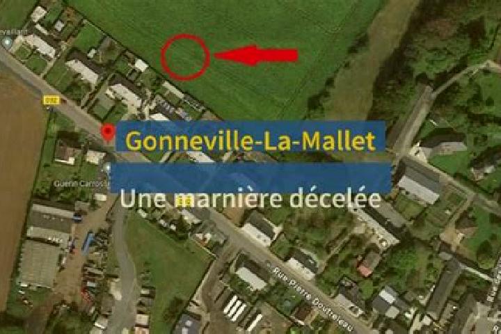 Kinsley, 32 — Escort in Gonneville-la-Mallet, France