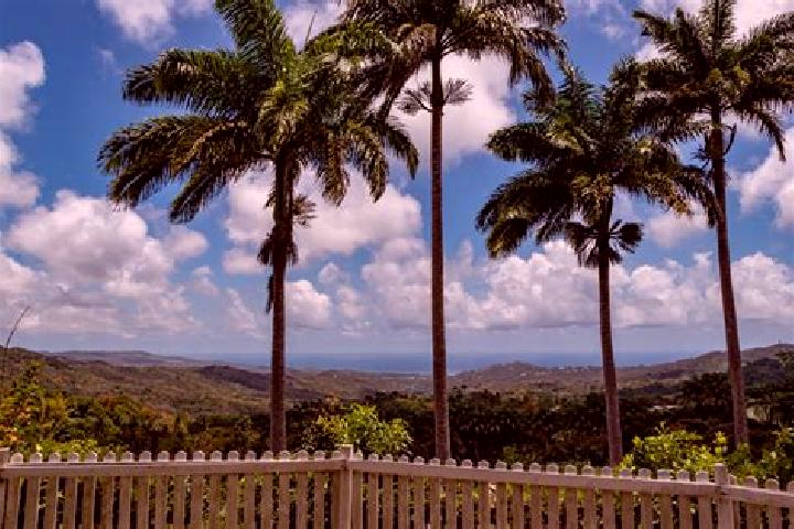 Kinsley, 32 — Escort in Welchman Hall, Barbados