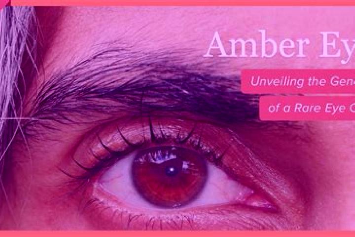 Kinsley, 33, a black amber-eyed indian companion based in Castlegar. Offering Massage, Deep French Kissing, BDSM. Available for incall and outcall, overnight...