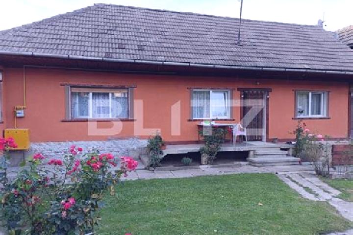 Kinsley, 33 — Escort in Cuciulata, Romania