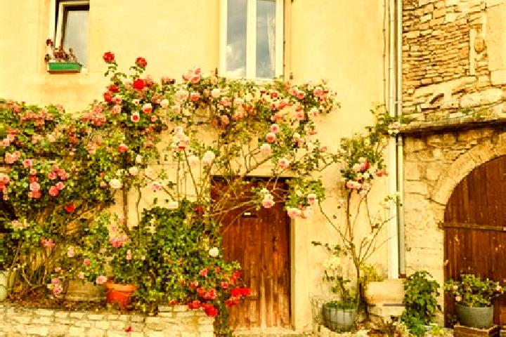 Kinsley, 33 — Escort in Grignan, France