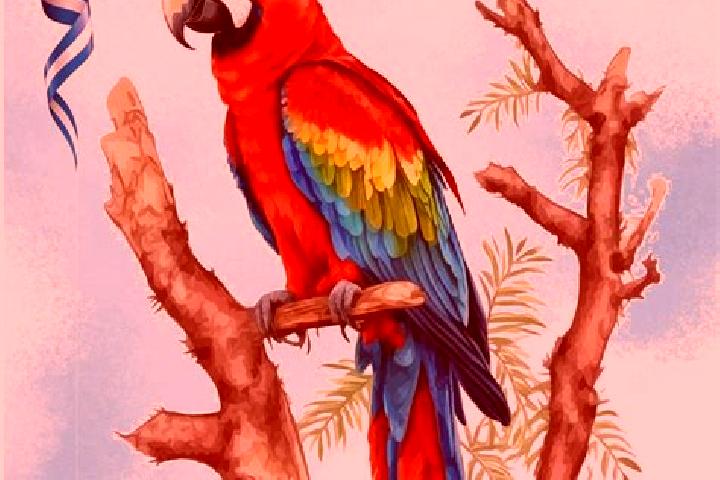 Kinsley, 33 — Escort in Guacamaya, Honduras