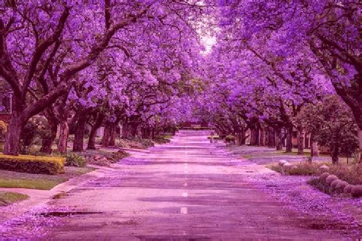 Kinsley, 33 — Escort in Jacarandas, Mexico