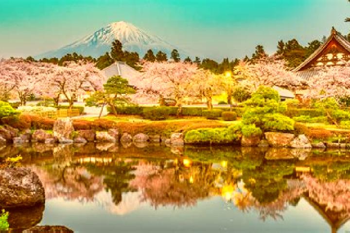 Kinsley, 33 — Escort in Sagara, Japan