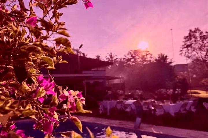 Kinsley, 33 — Escort in Villa de las Flores, Mexico