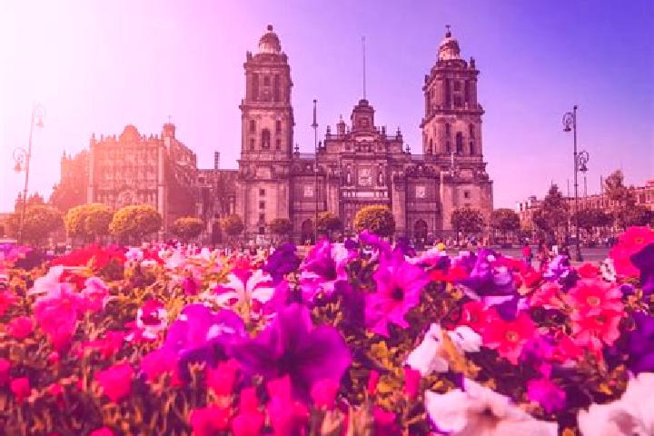 Kinsley, 34 — Escort in Ciudad Maya, Mexico