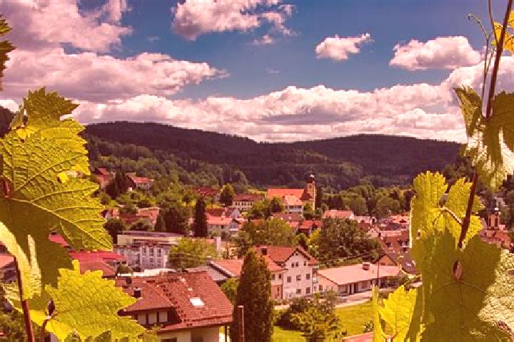Kinsley, 34 — Escort in Heiligkreuzsteinach, Germany