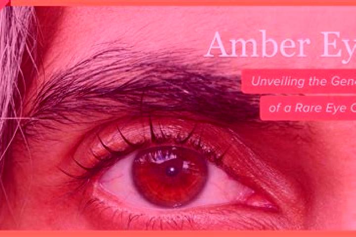 Kinsley, 35, a black amber-eyed ebony companion based in Strelka. Offering Striptease, Domination, Massage. Available for incall and outcall, day and evening...
