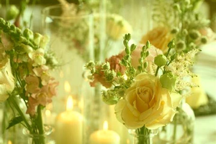 Kinsley, 35 — Escort in Jars, France