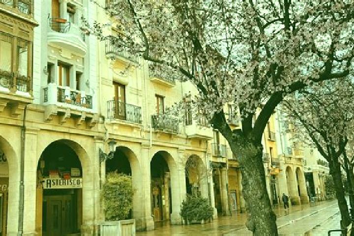 Kinsley, 35 — Escort in Logrono, Spain