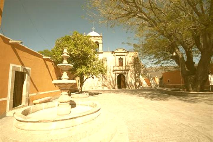 Kinsley, 35 — Escort in Mezquitic, Mexico