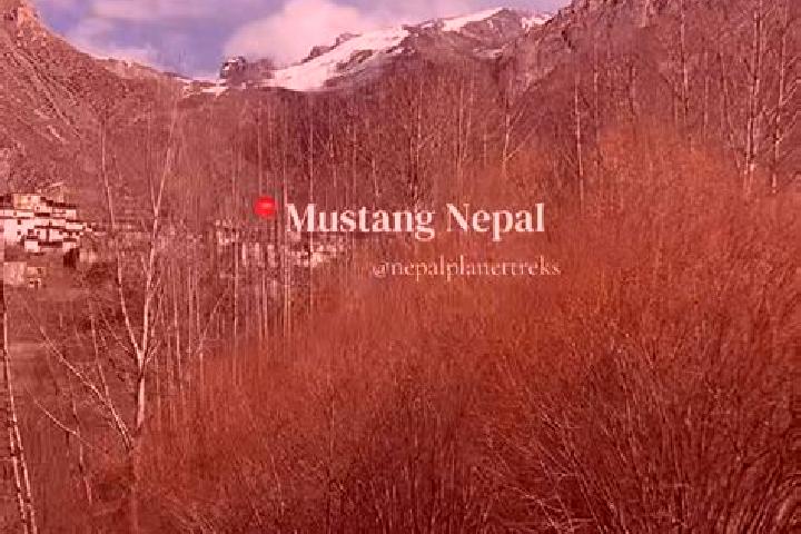 Kinsley, 35 — Escort in Mustang, Nepal