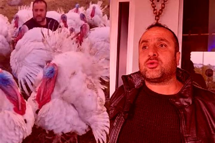 Kinsley, 35 — Escort in Tuzluca, Turkey