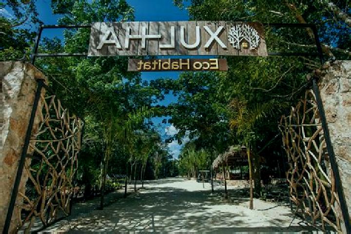 Kinsley, 35 — Escort in Xul-Ha, Mexico