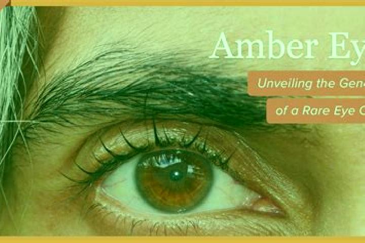 Kinsley, 36, a black amber-eyed mediterranean companion based in Oume. Offering GFE, Massage, OWO, Striptease, Fetish. Available for incall and outcall, day ...