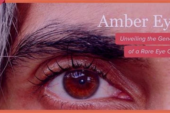 Kinsley, 36, a black amber-eyed mixed companion based in Piano di Frassineta. Offering Couples, Striptease. Available for incall and outcall, overnight booki...
