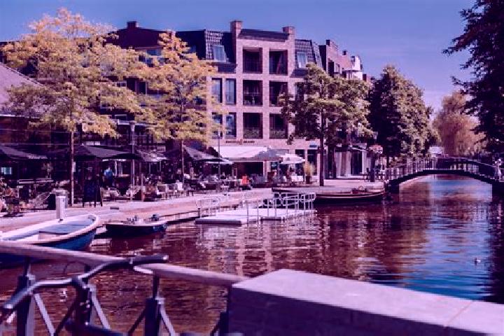 Kinsley, 37 — Escort in Alphen, Netherlands