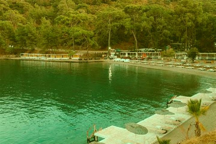 Kinsley, 37 — Escort in Kuecuek Altinbulak, Turkey