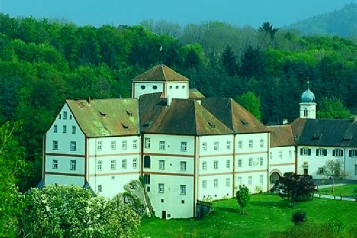 Kinsley, 37 — Escort in Langenstein, Germany