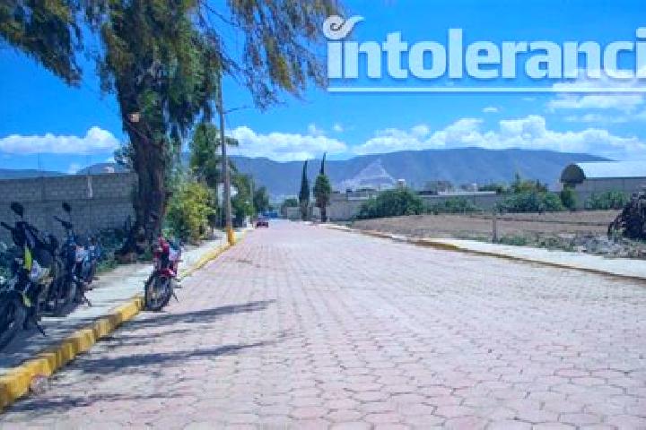 Kinsley, 37 — Escort in Palmarito Tochapan, Mexico