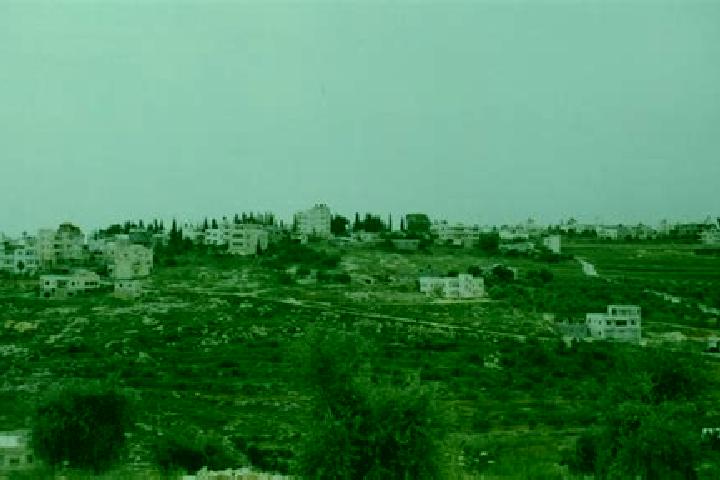 Kinsley, 37 — Escort in Saffa, Palestine