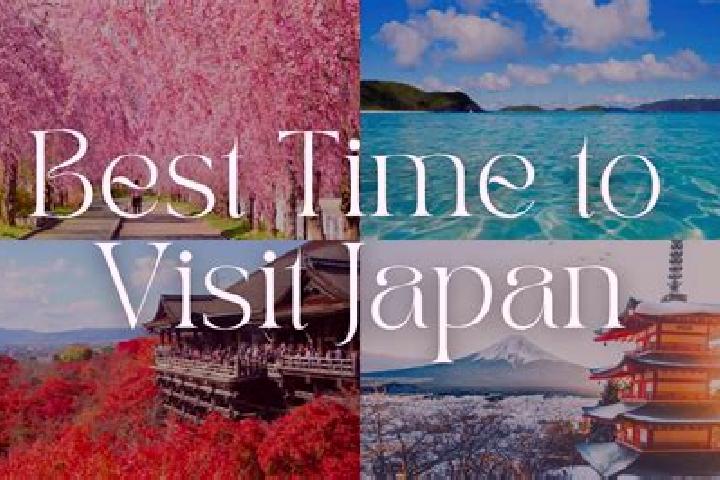 Kinsley, 37 — Escort in Tondabayashicho, Japan